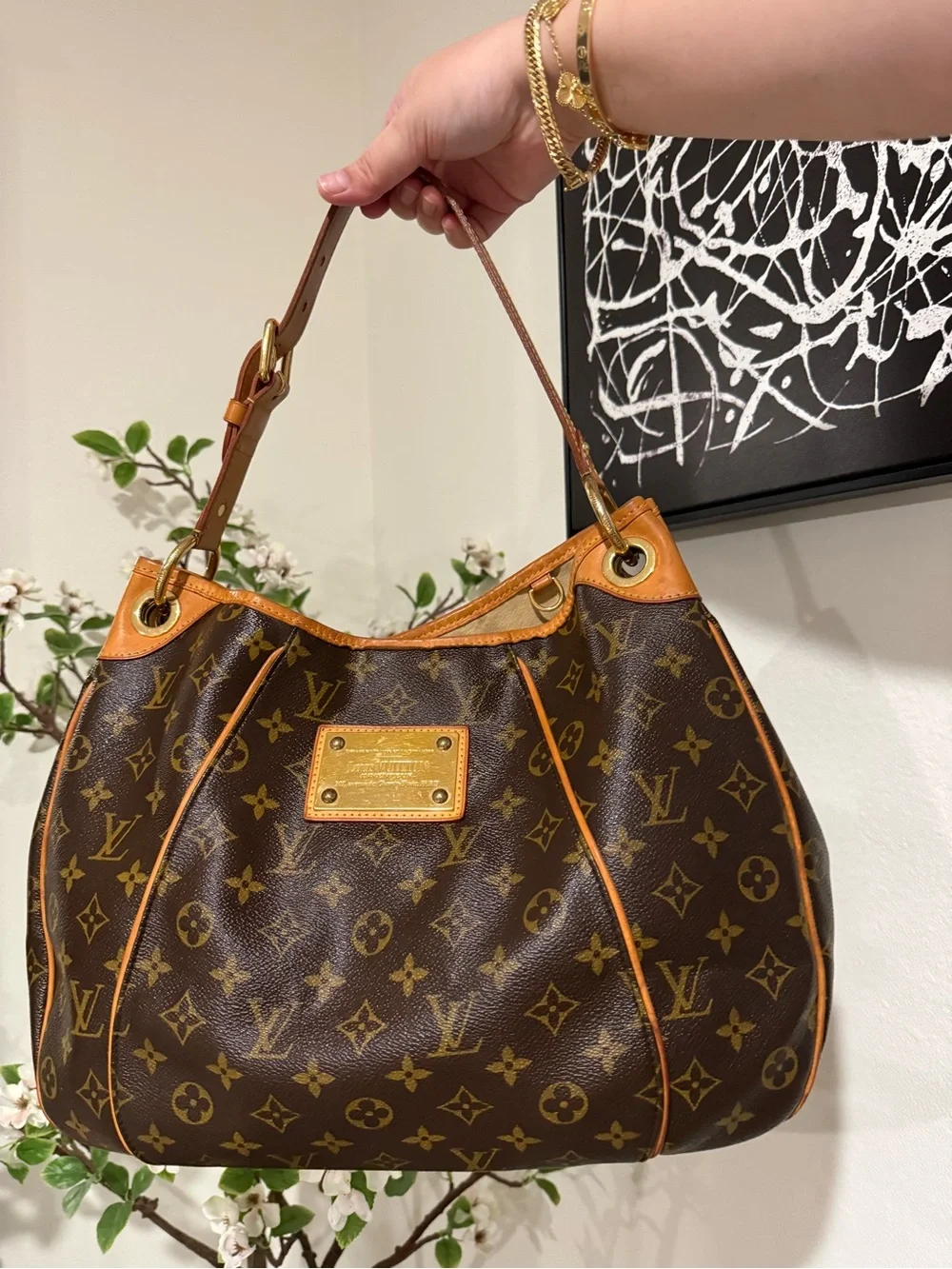 LV Galleria MM in Monogram